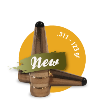 .311 123 gr  50 Stück